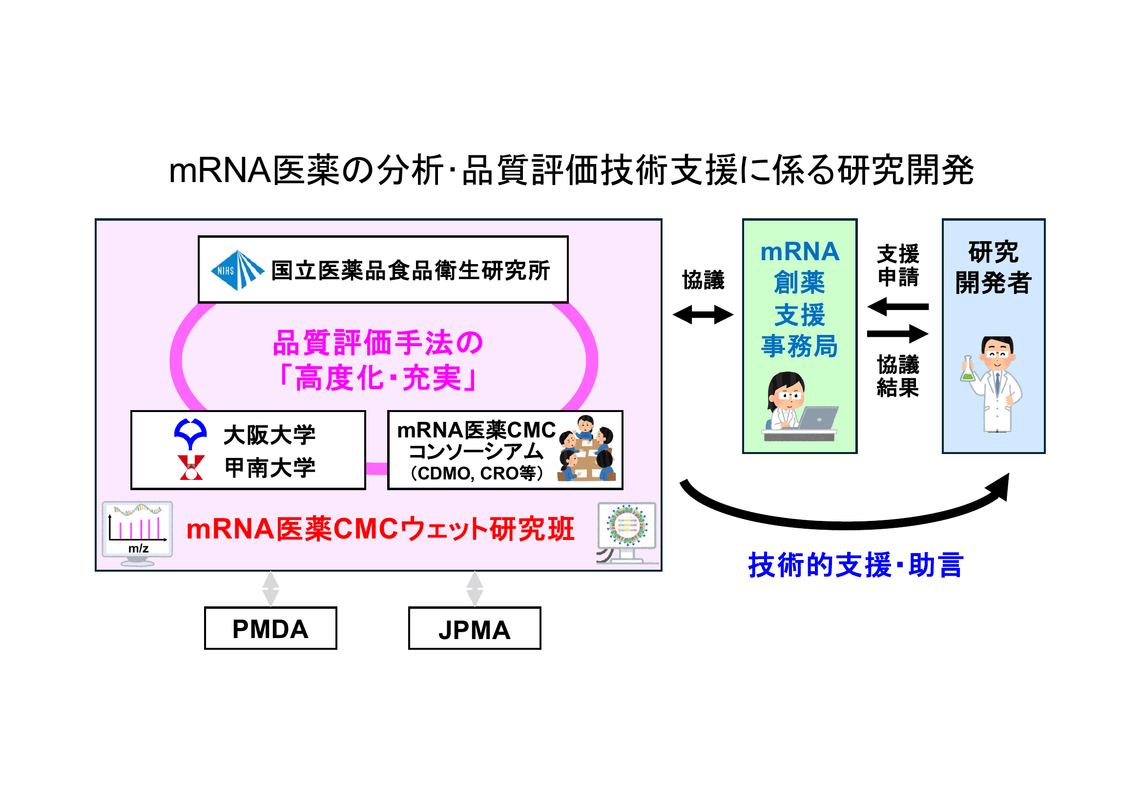 mRNA医薬の分析・品質評価技術支援に係る研究開発 実施体制図